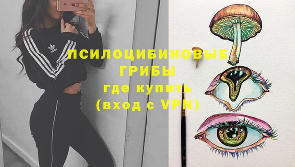 МДПВ Алексеевка