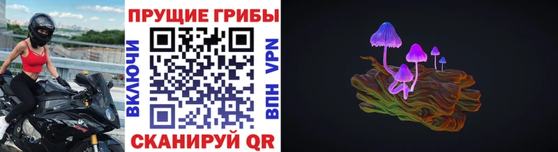 Галлюциногенные грибы Cubensis  где найти   shop официальный сайт  Андреаполь 