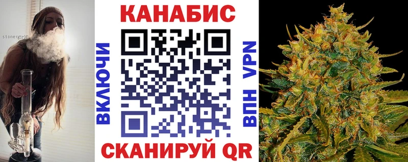Бошки Шишки планчик  где продают наркотики  Андреаполь 